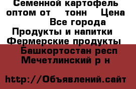 Семенной картофель оптом от 10 тонн  › Цена ­ 11 - Все города Продукты и напитки » Фермерские продукты   . Башкортостан респ.,Мечетлинский р-н